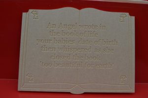 angel book (Small) angel book (Small)