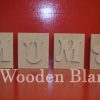 mum-flower-blocks