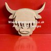 Highland cow heads large