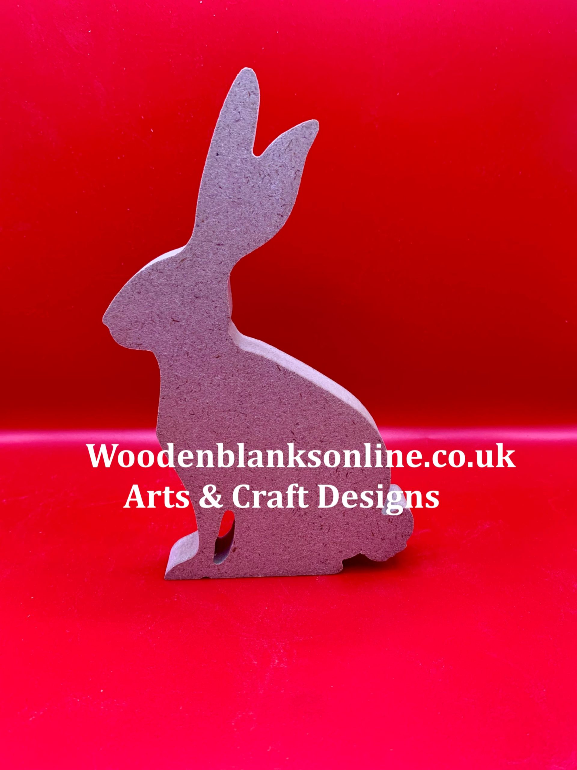 Large hare Large hare